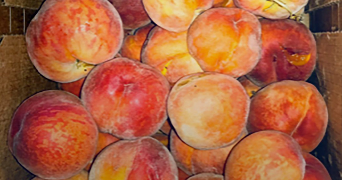 Local Scoop Picketts Harbor Farm